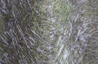 Llanfrothen fibreglass roof work